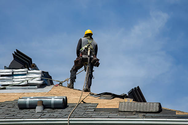 Professional Metal Roofing technician working in Drake, CO